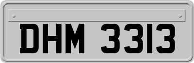 DHM3313