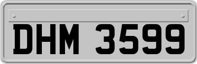 DHM3599