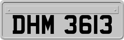 DHM3613