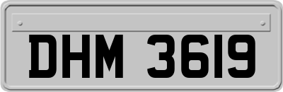 DHM3619
