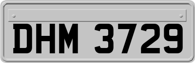 DHM3729