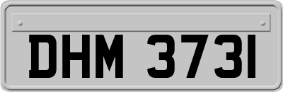 DHM3731