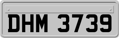 DHM3739