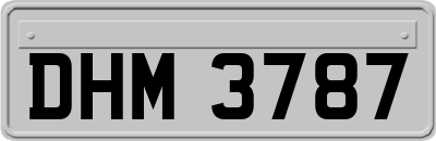 DHM3787