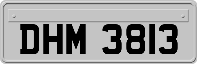 DHM3813