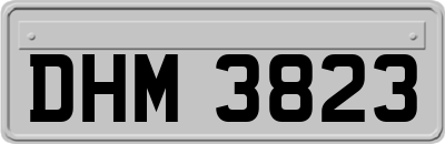 DHM3823