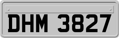 DHM3827