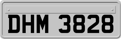 DHM3828