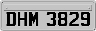 DHM3829