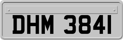 DHM3841