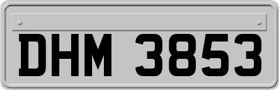 DHM3853
