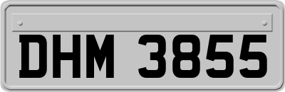 DHM3855