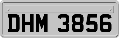 DHM3856