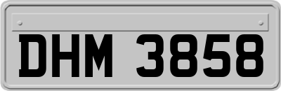 DHM3858