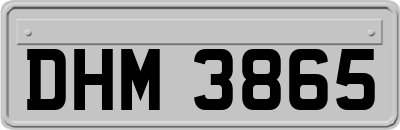 DHM3865