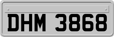 DHM3868
