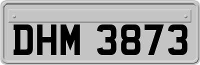 DHM3873