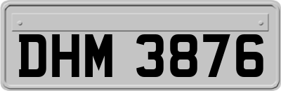 DHM3876
