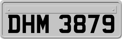 DHM3879