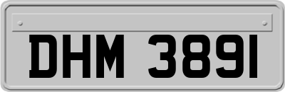 DHM3891
