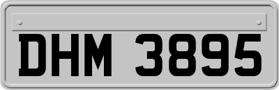 DHM3895