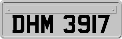 DHM3917