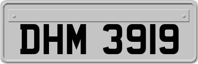 DHM3919