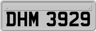 DHM3929