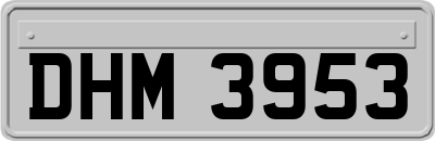 DHM3953
