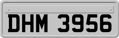 DHM3956