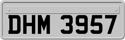 DHM3957