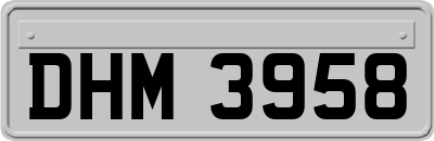 DHM3958