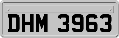 DHM3963