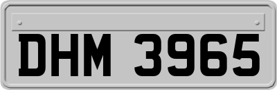 DHM3965