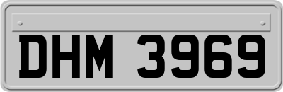 DHM3969