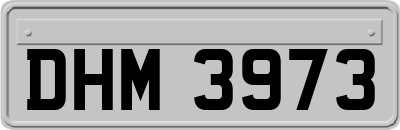 DHM3973