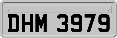 DHM3979