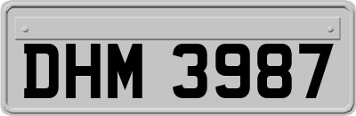 DHM3987