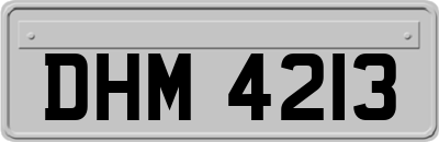 DHM4213