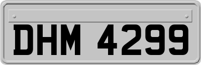 DHM4299