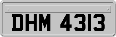 DHM4313