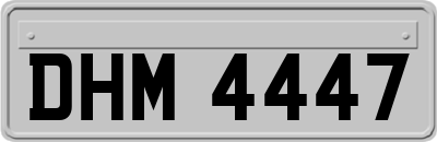 DHM4447