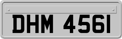 DHM4561
