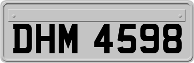 DHM4598