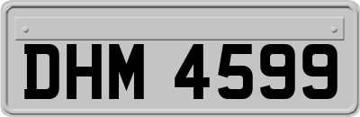 DHM4599