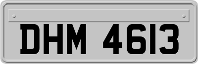 DHM4613