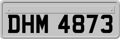 DHM4873