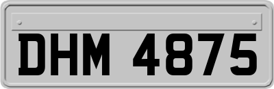 DHM4875