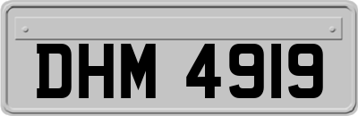 DHM4919
