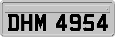 DHM4954